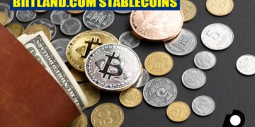 Biitland.com Stablecoins