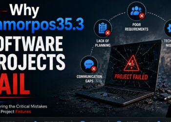 Why Immorpos35.3 Software Projects Fail