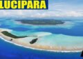 Lucipara