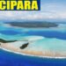 Lucipara