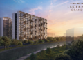 Tips for Creating a Cohesive Palette with Lucerne Grand and Thomson Reserve