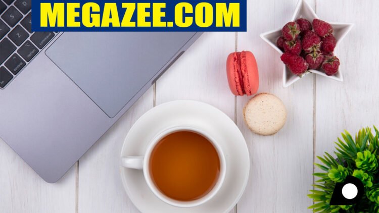 megazee.com