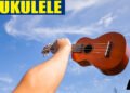 Ukulele