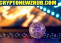 cryptonewzhub.com